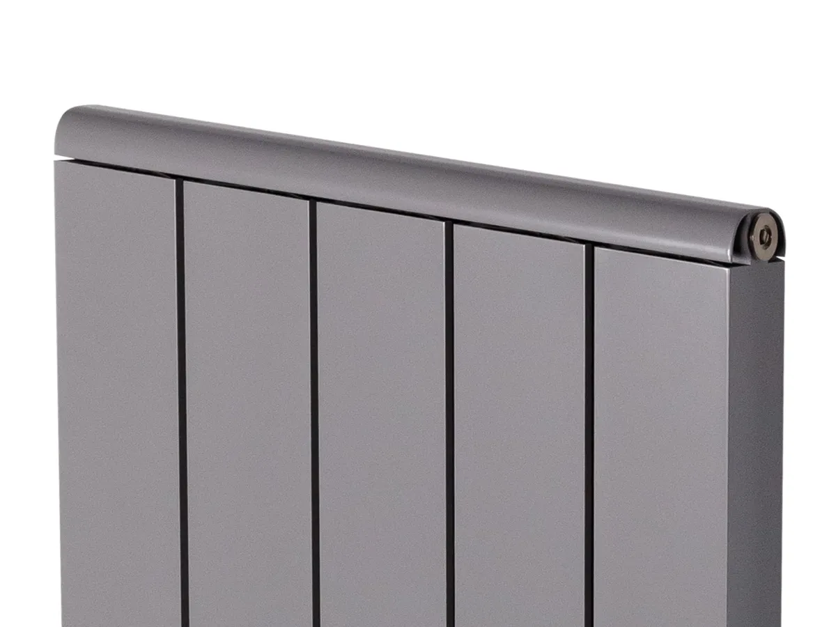 Дизайнерский радиатор LOJIMAX коллекция LOVA LINE 2000x400 мм, GRAPE