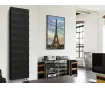 Биметаллические радиаторы Royal Thermo PianoForte Tower Noir Sable 18 сек